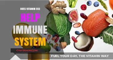 Boosting Immunity: The Role of Vitamin B12 in Supporting Your Body's Defenses