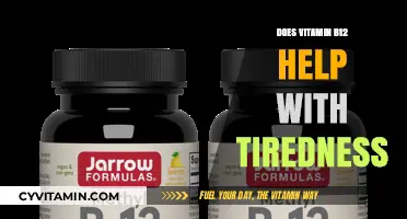 Boosting Energy: The Role of Vitamin B12 in Combating Tiredness