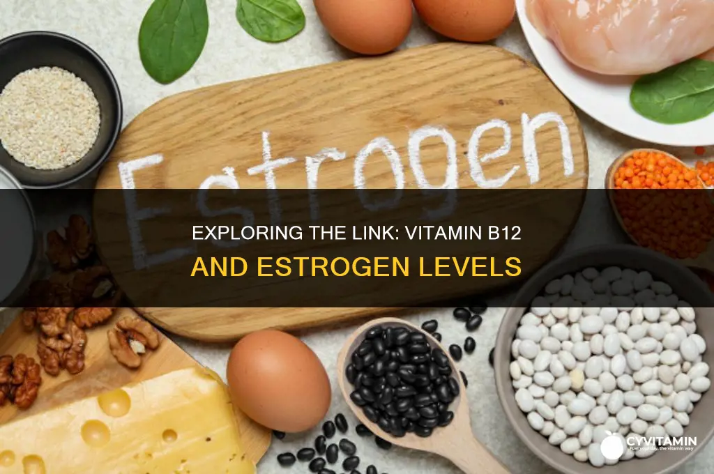 does vitamin b12 increase estrogen