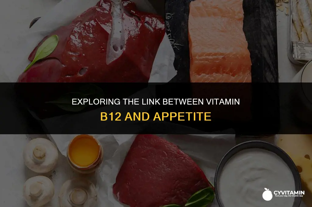 does vitamin b12 make you hungry