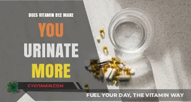 Exploring the Link: Vitamin B12 and Increased Urination