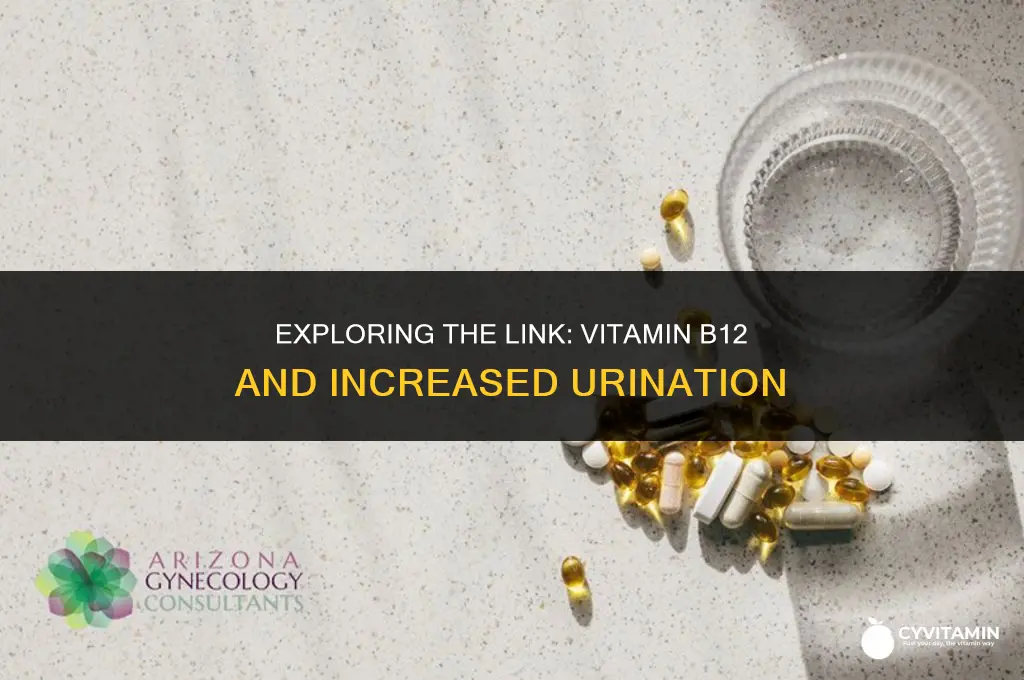 does vitamin b12 make you urinate more
