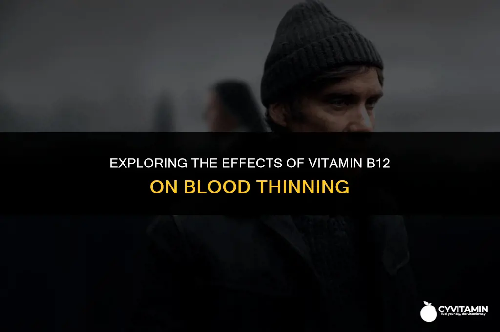 does vitamin b12 thin your blood