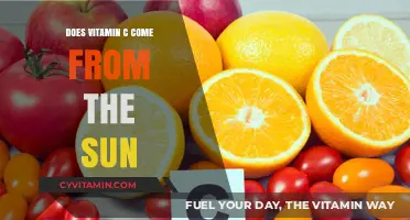 Sun-Kissed or Supplemented: The Truth About Vitamin C Sources