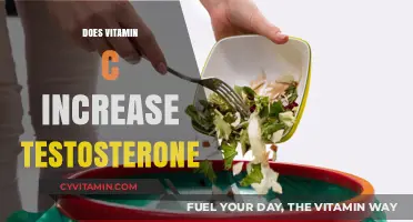 Boosting Testosterone Naturally: The Role of Vitamin C