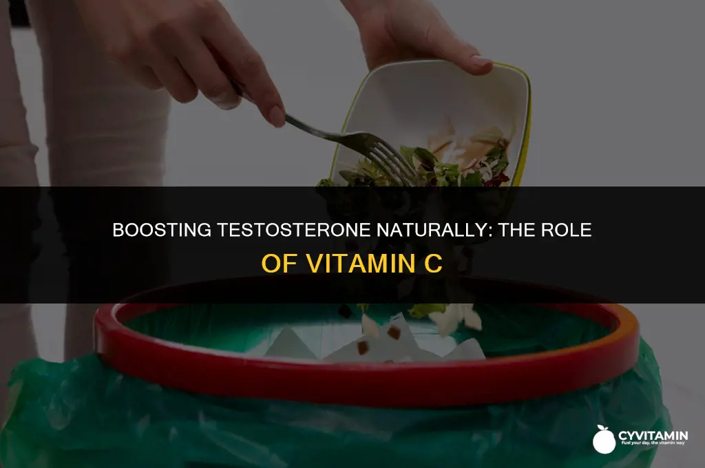 does vitamin c increase testosterone
