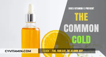 Boosting Immunity: The Truth About Vitamin C and Cold Prevention