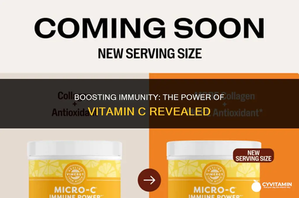 does vitamin c strengthen the immune system