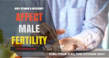 Exploring the Link Between Vitamin D Deficiency and Male Fertility