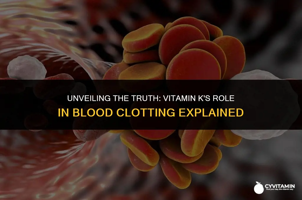 does vitamin k clot blood