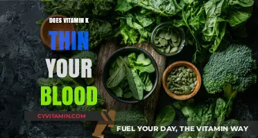 Unveiling the Truth: Does Vitamin K Really Thin Your Blood?