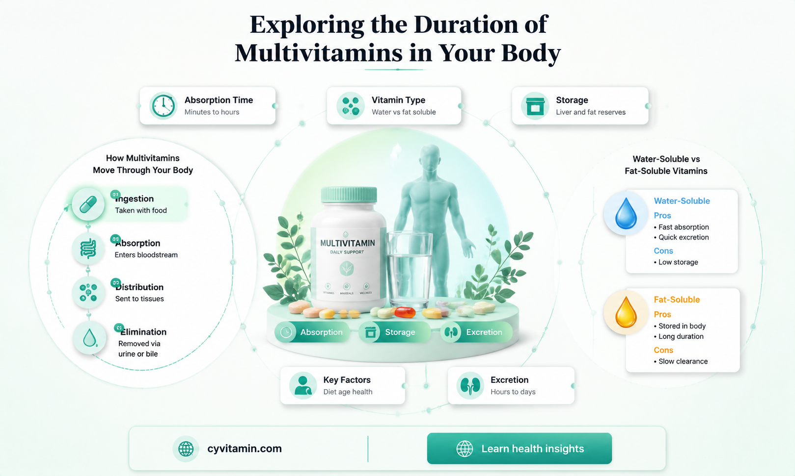 how long do multivitamins stay in your system