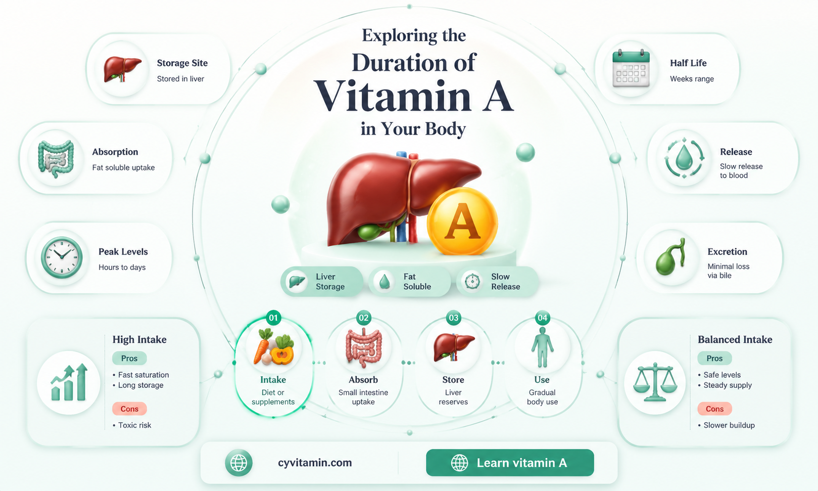 how long does vitamin a stay in your system