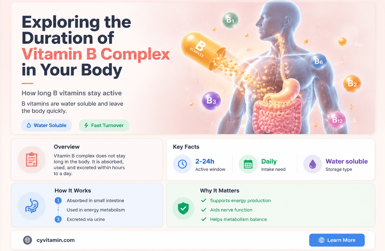 how long does vitamin b complex stay in your system