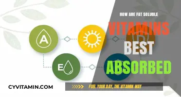 Maximizing Absorption: The Best Ways to Take Fat-Soluble Vitamins