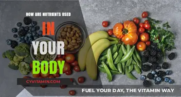 Fuel Your Body: Understanding How Nutrients Power Your Life