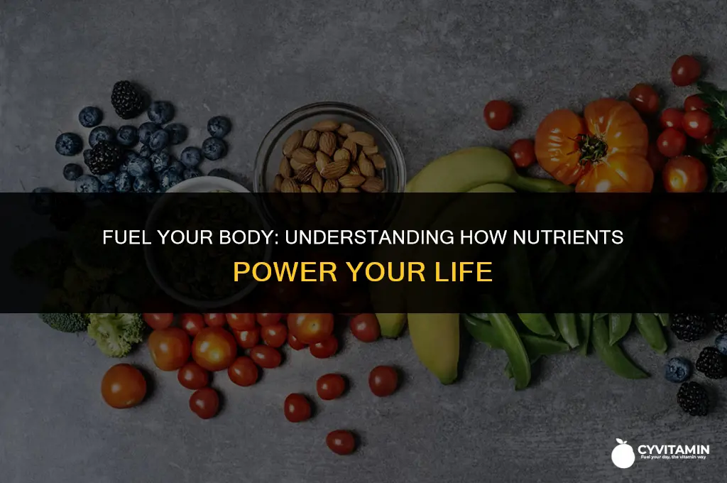 how are nutrients used in your body