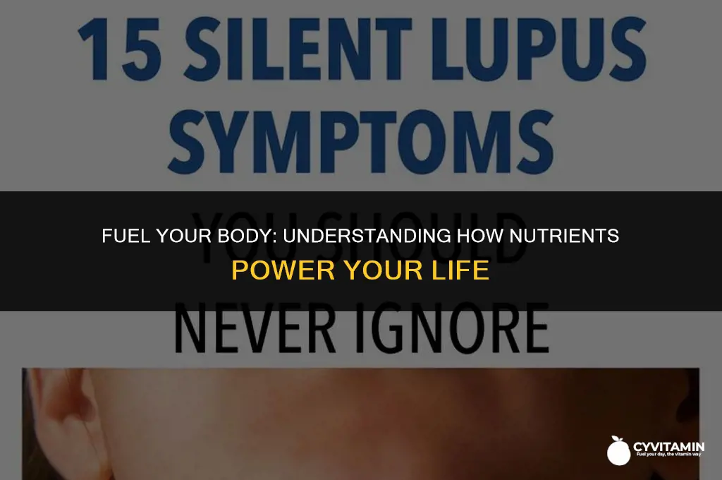 how are these nutrients used by your body