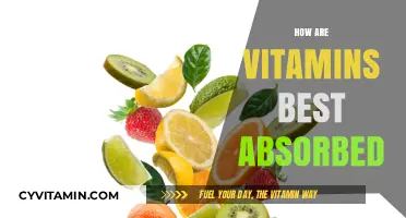 Maximizing Vitamin Absorption: Essential Tips for Optimal Nutrient Uptake