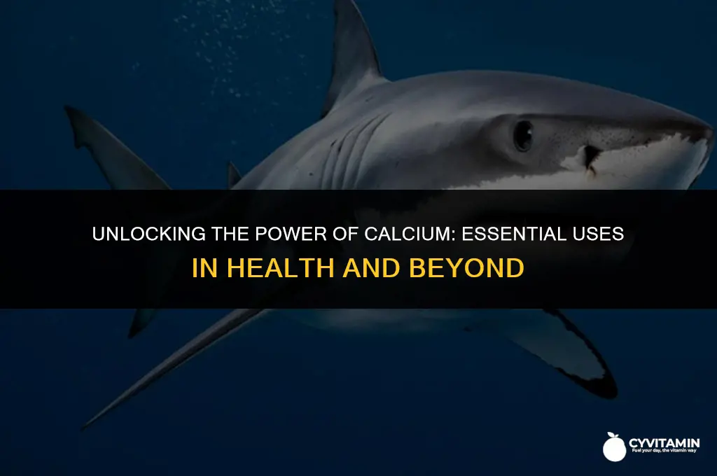 how calcium is used