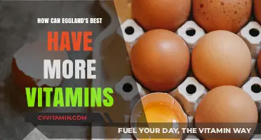 Boosting Nutrient Content: Strategies for Eggland's Best Vitamin Enhancement