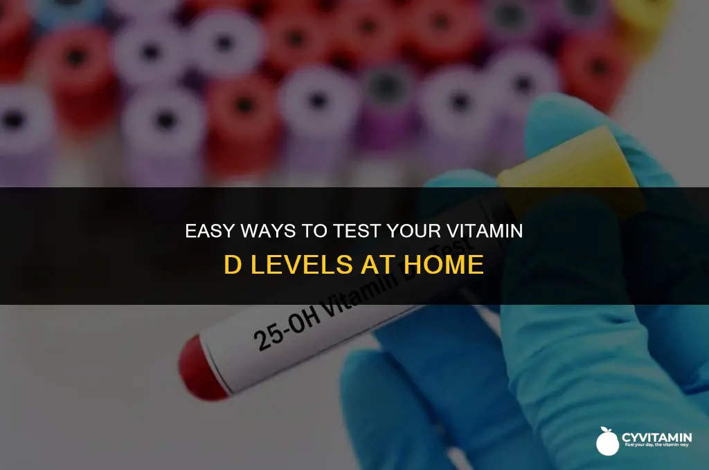 how can i check my vitamin d levels at home