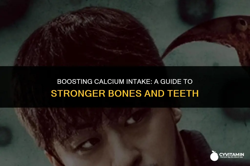 how can i get more calcium in my diet