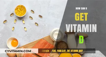 Sunlight and Supplements: Your Guide to Boosting Vitamin D Levels