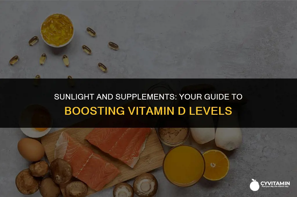 how can u get vitamin d