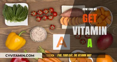 Boosting Vitamin A Intake: Natural Sources and Supplements for Optimal Health