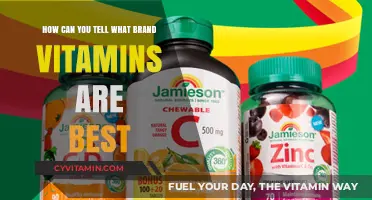 Choosing the Best Vitamin Brand: Key Factors to Consider