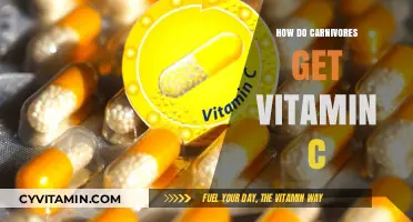 Nature's Solution: How Carnivores Acquire Vitamin C