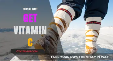 Traditional Inuit Sources of Vitamin C: A Nutritional Insight