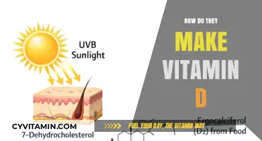 Unlocking the Secrets: How Vitamin D is Synthesized Naturally