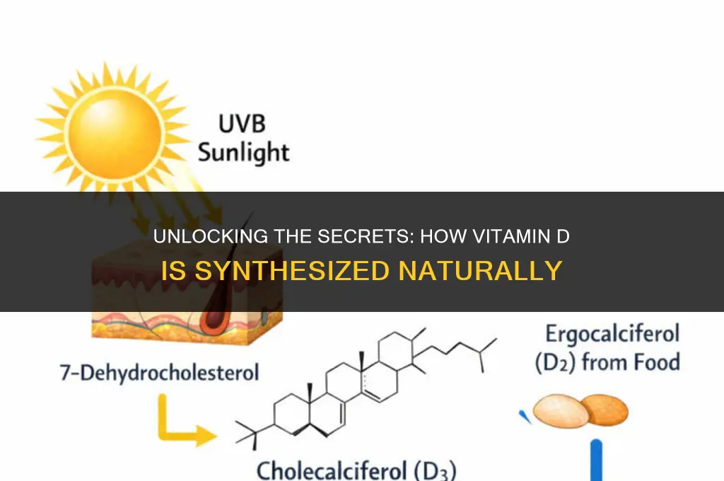 how do they make vitamin d