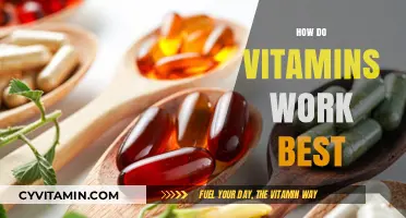 Maximizing Vitamin Benefits: Timing, Combinations, and Absorption Strategies