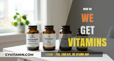 Unlocking Nutrition: A Guide to Getting Your Daily Vitamins