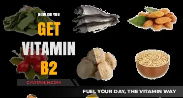 Boosting Your Vitamin B2 Intake: A Comprehensive Guide