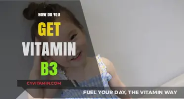 Boosting Your Vitamin B3 Intake: A Comprehensive Guide