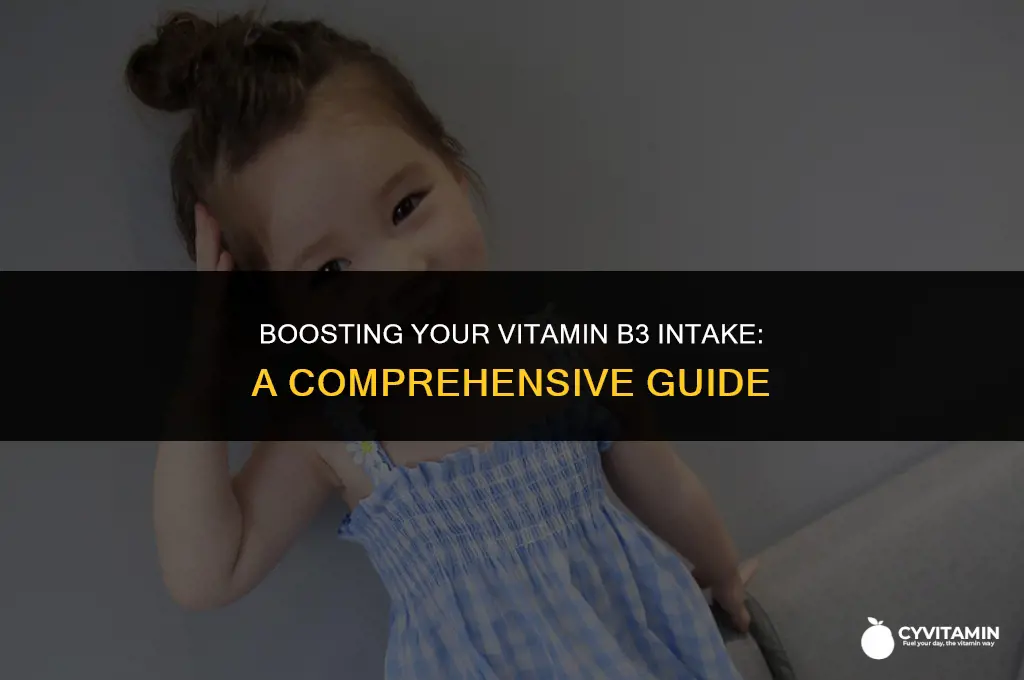 how do you get vitamin b3