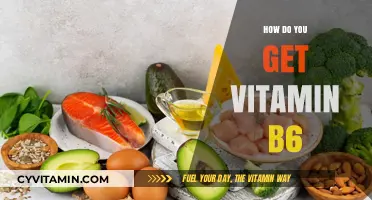 Unlocking the Benefits of Vitamin B6: A Comprehensive Guide