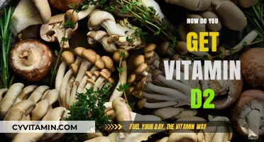 Sunlight and Supplements: Your Guide to Boosting Vitamin D2 Levels