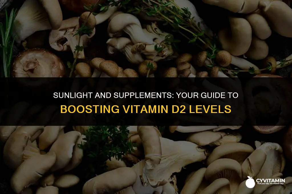 how do you get vitamin d2