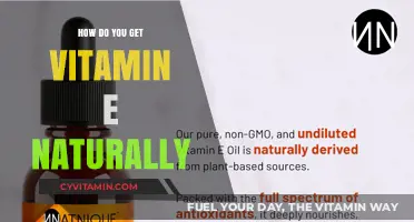 Nourishing Your Body: Natural Sources of Vitamin E