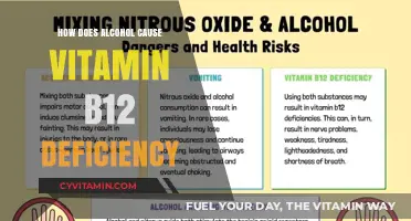 Unveiling the Link: Alcohol's Impact on Vitamin B12 Levels