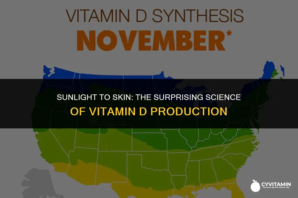 how does skin make vitamin d