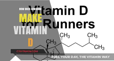 Sunlight's Magic: Unveiling the Vitamin D Production Process