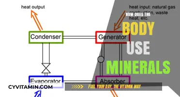 Unlocking the Power of Minerals: How Your Body Utilizes Nature's Building Blocks