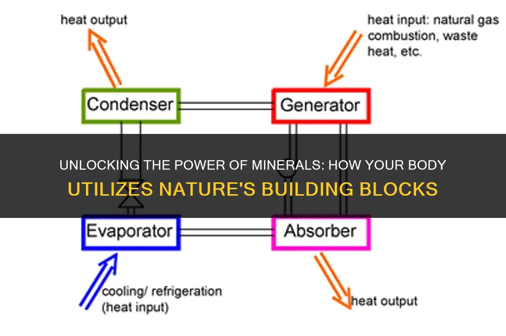 how does the body use minerals