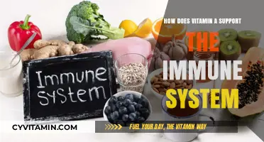 Boosting Immunity: The Essential Role of Vitamin A